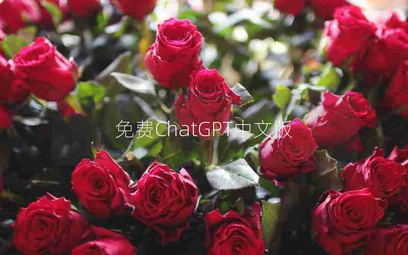免费ChatGPT中文版 免费ChatGPT中文版