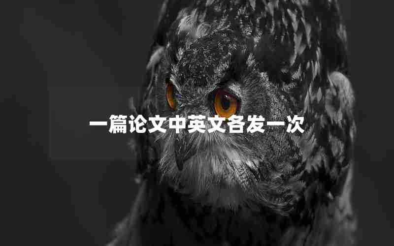 一篇论文中英文各发一次