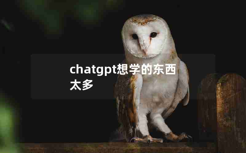 chatgpt想学的东西太多