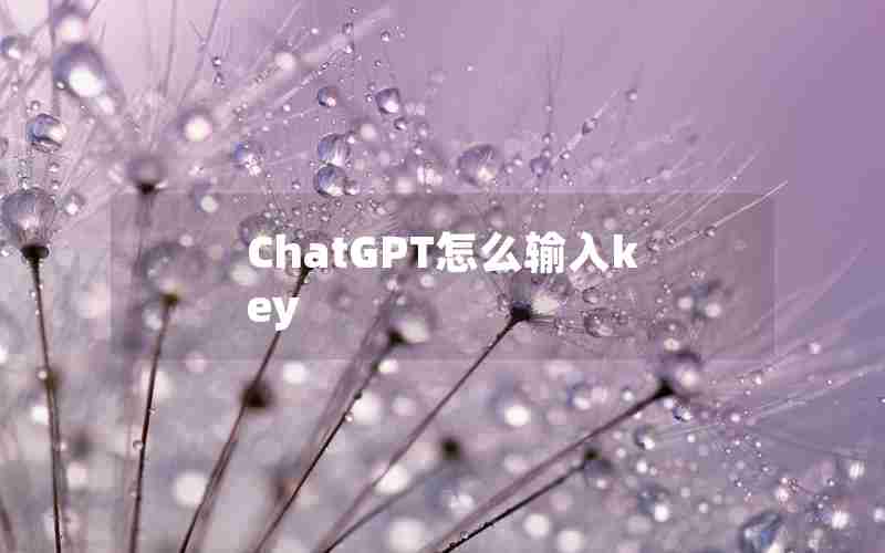 ChatGPT怎么输入key ChatGPT怎么输入key