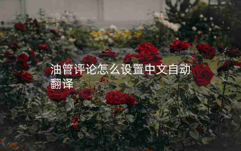 油管评论怎么设置中文自动翻译