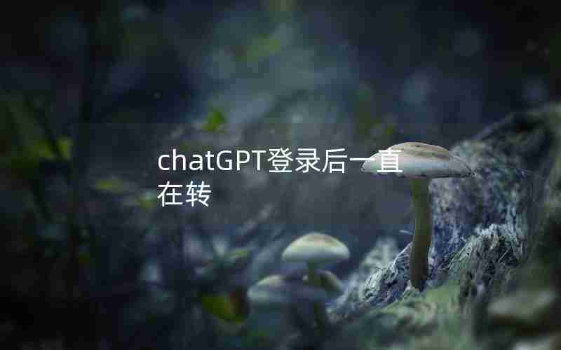 chatGPT登录后一直在转 chatGPT登录后一直在转