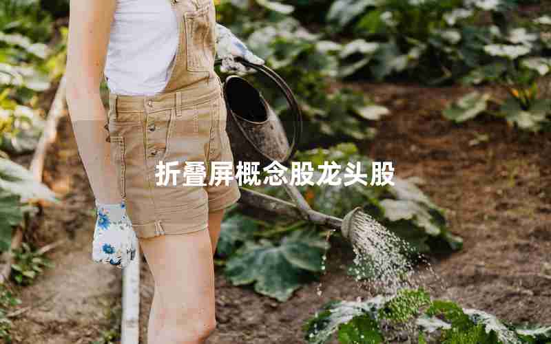 折叠屏概念股龙头股 折叠屏概念股龙头股