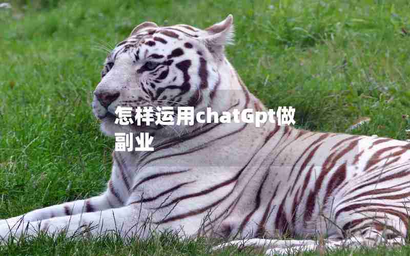 怎样运用chatGpt做副业 怎样运用chatGpt做副业