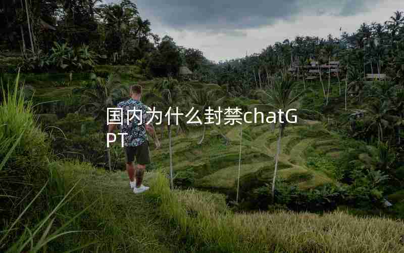 国内为什么封禁chatGPT 国内为什么封禁chatGPT