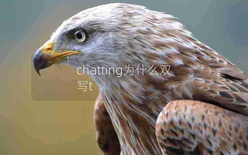 chatting为什么双写t chatting为什么双写t