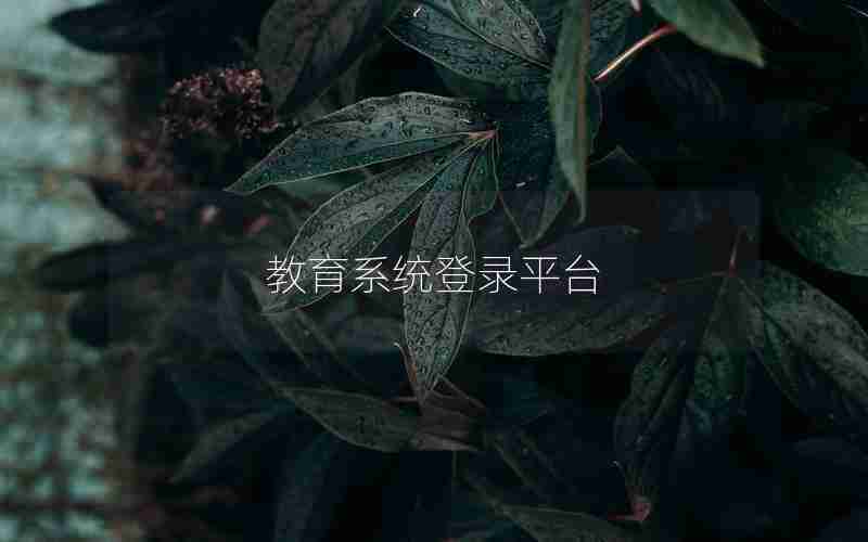 教育系统登录平台 教育系统登录平台