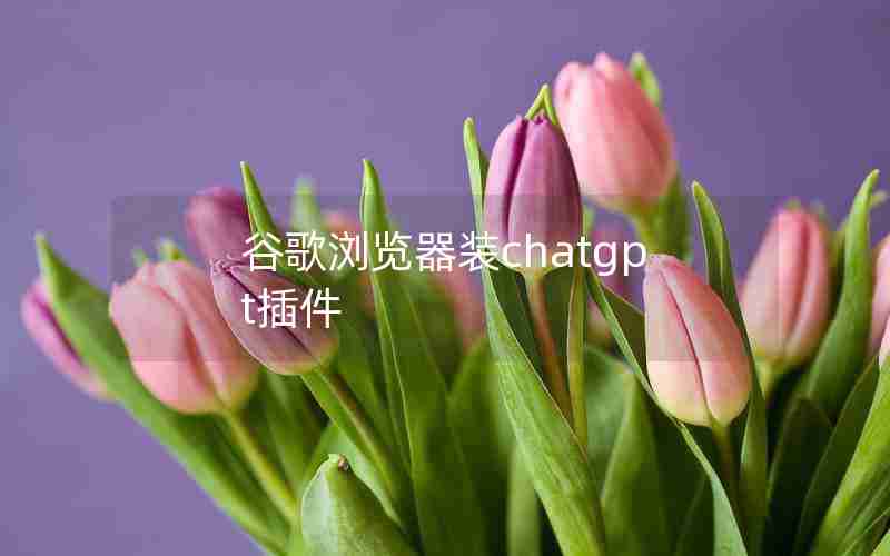 谷歌浏览器装chatgpt插件