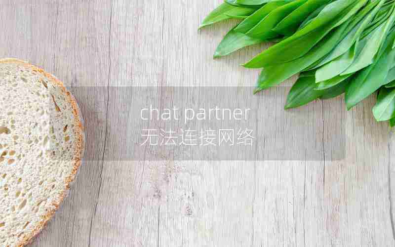 chat partner无法连接网络