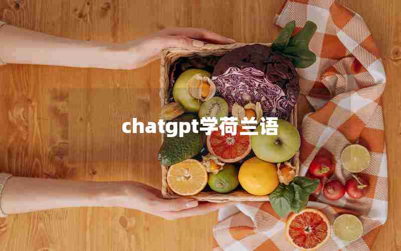 chatgpt学荷兰语