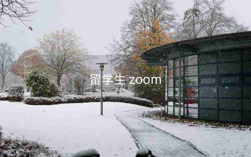 留学生 zoom