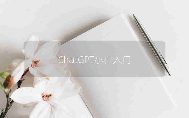 ChatGPT小白入门 ChatGPT小白入门