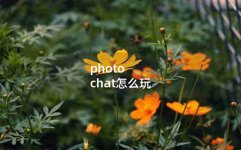photo chat怎么玩