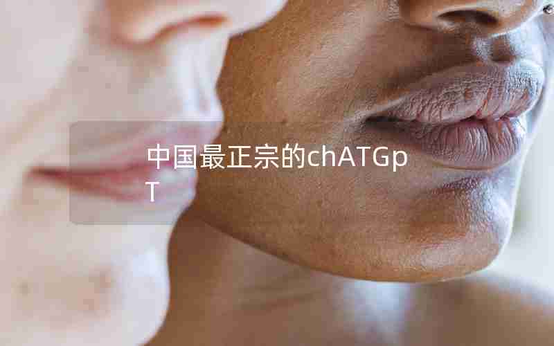 中国最正宗的chATGpT 中国最正宗的chATGpT