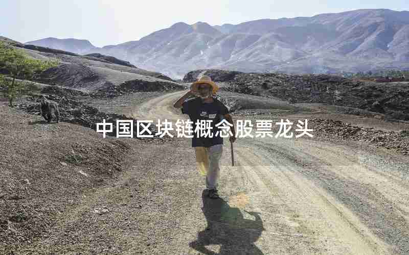 中国区块链概念股票龙头 中国区块链概念股票龙头