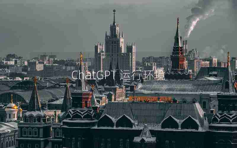 ChatGPT 运行环境