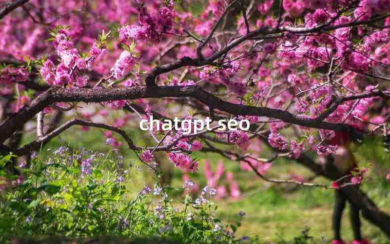chatgpt seo