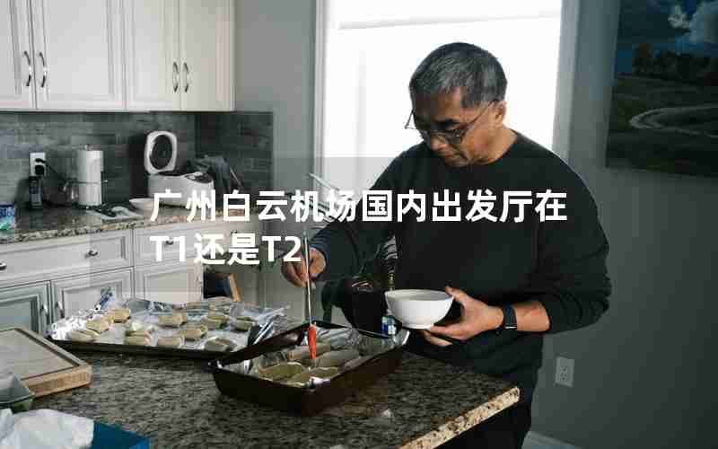 广州白云机场国内出发厅在T1还是T2