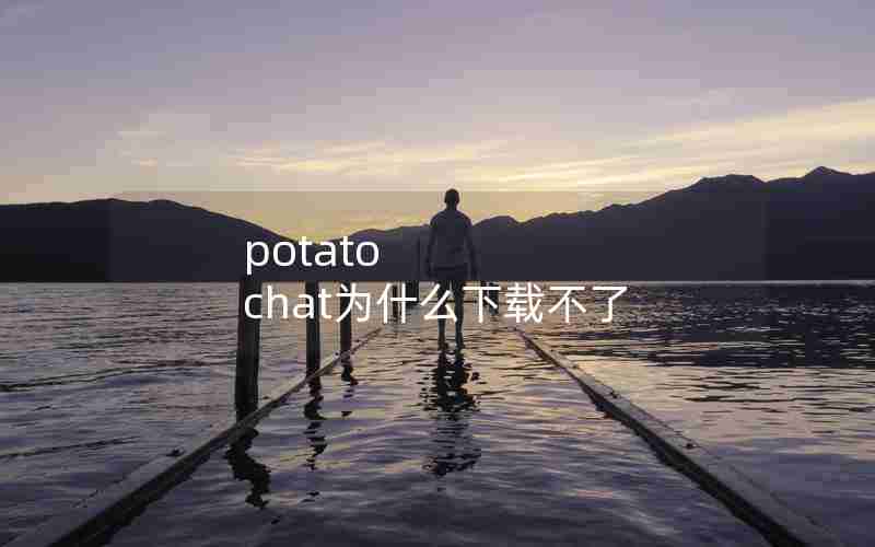 potato chat为什么下载不了 potato chat为什么下载不了