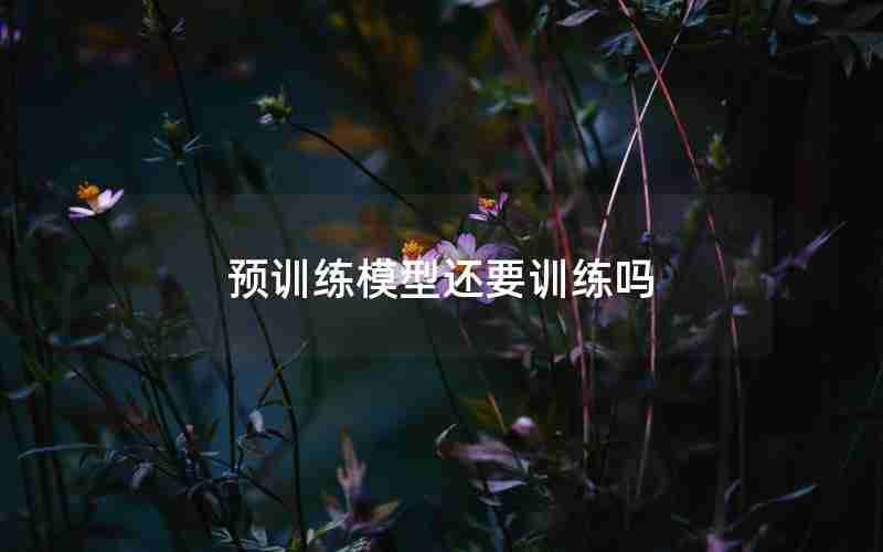 预训练模型还要训练吗