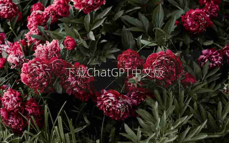 下载ChatGPT中文版 下载ChatGPT中文版