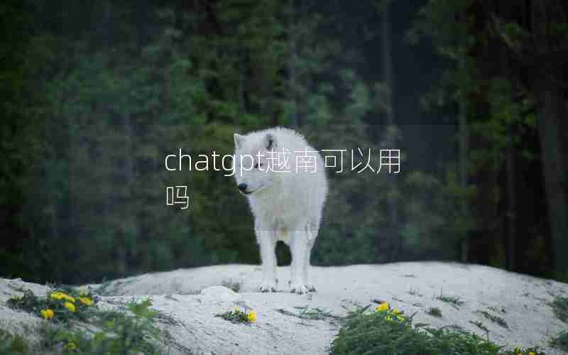 chatgpt越南可以用吗 chatgpt越南可以用吗