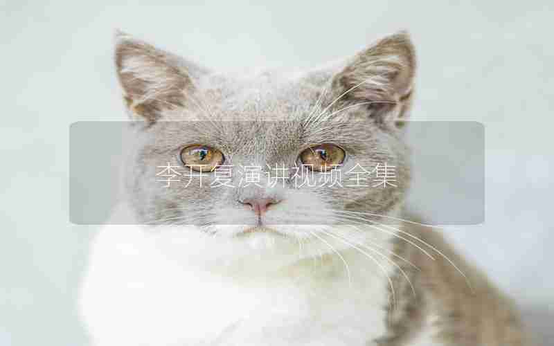 李开复演讲视频全集
