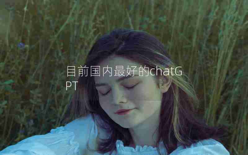 目前国内最好的chatGPT 目前国内最好的chatGPT