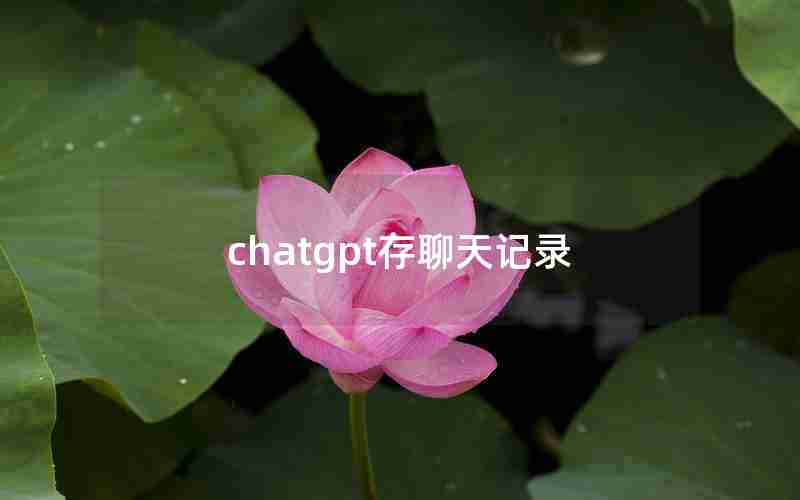 chatgpt存聊天记录 chatgpt存聊天记录