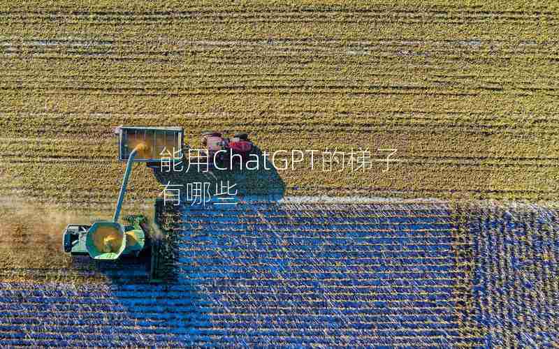 能用ChatGPT的梯子有哪些 能用ChatGPT的梯子有哪些