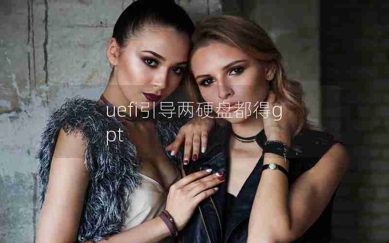 uefi引导两硬盘都得gpt