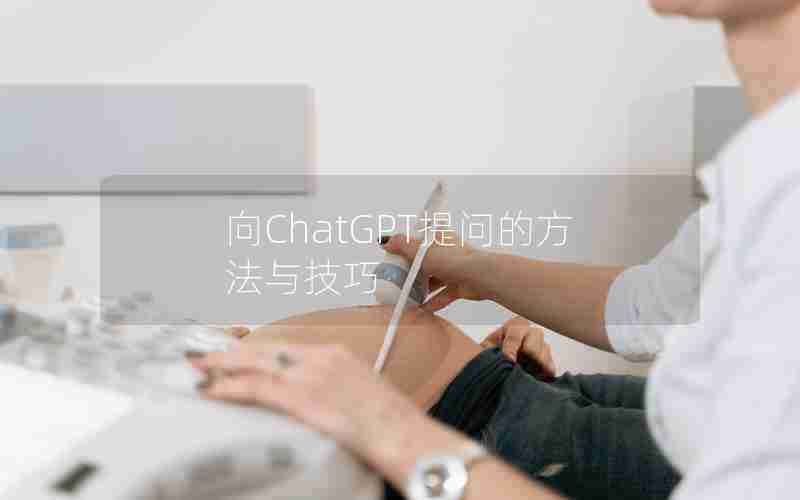 向ChatGPT提问的方法与技巧 向ChatGPT提问的方法与技巧