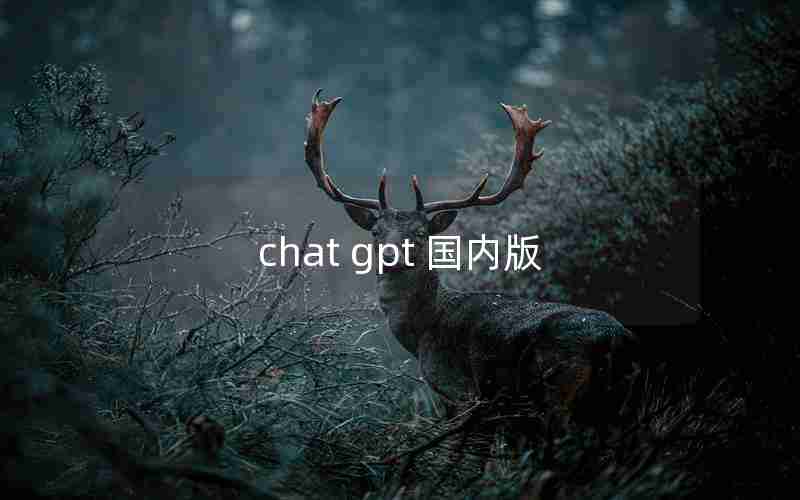 chat gpt 国内版 chat gpt 国内版