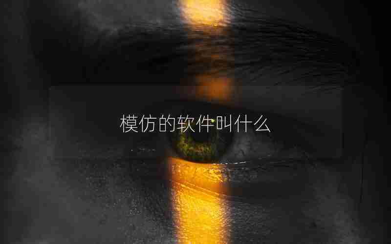 模仿的软件叫什么