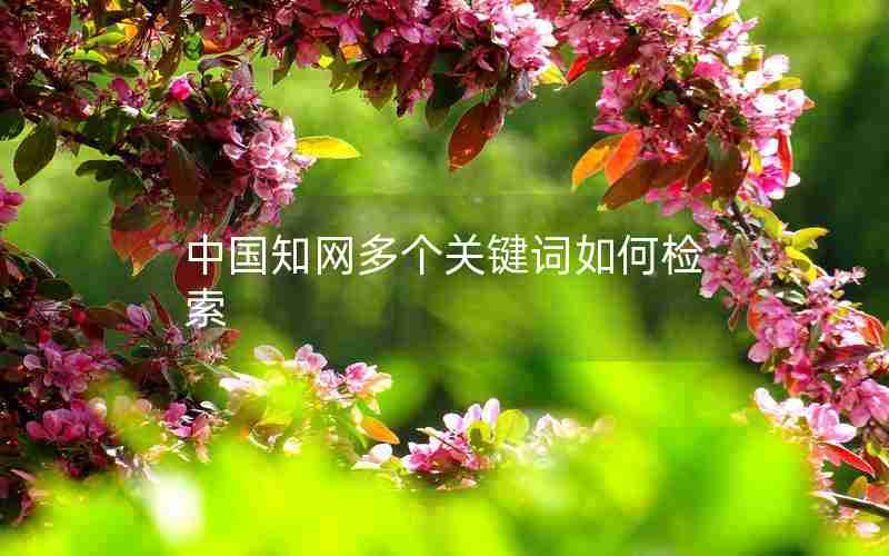 中国知网多个关键词如何检索 中国知网多个关键词如何检索