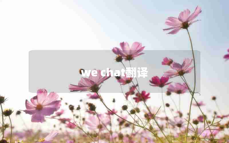 we chat翻译 we chat翻译