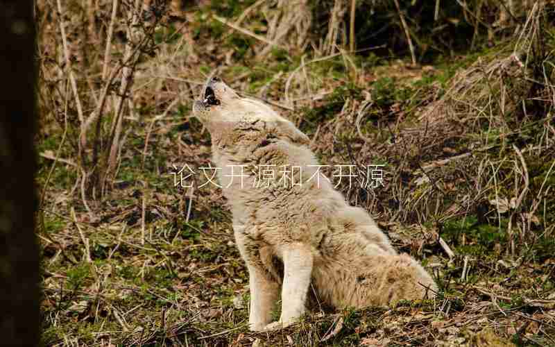 论文开源和不开源 论文开源和不开源