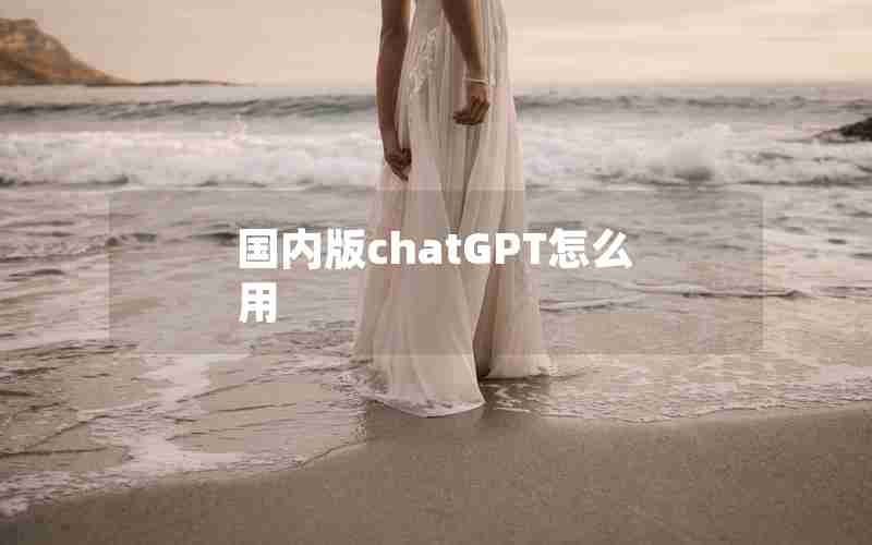 国内版chatGPT怎么用