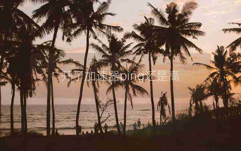 开了加速器ping还是高 开了加速器ping还是高