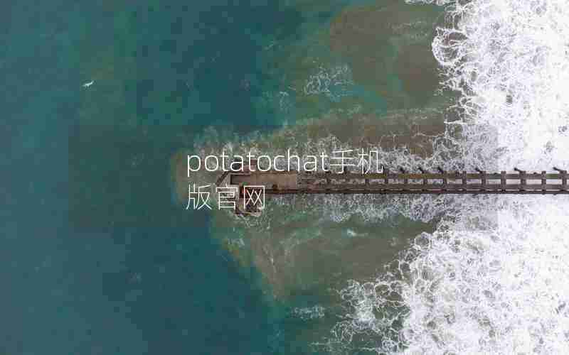 potatochat手机版官网