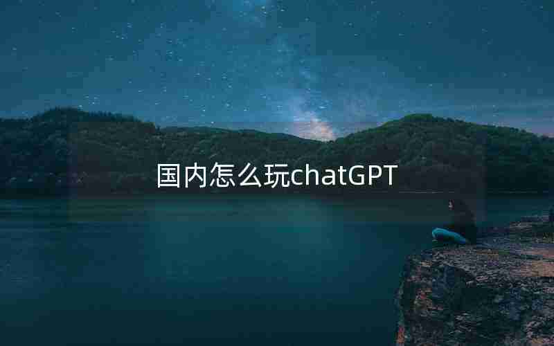 国内怎么玩chatGPT