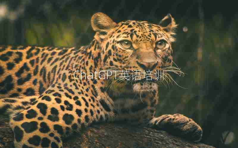 ChatGPT英语培训