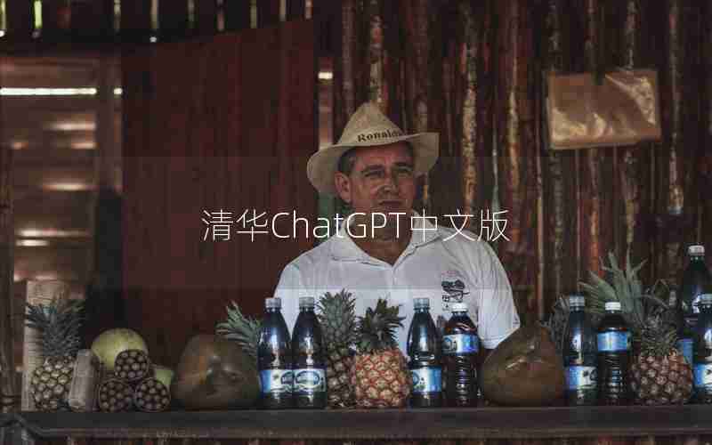 清华ChatGPT中文版
