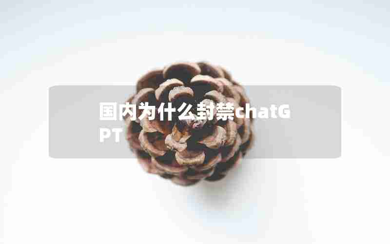 国内为什么封禁chatGPT 国内为什么封禁chatGPT