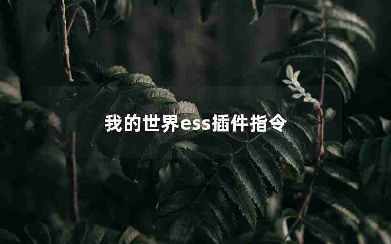 我的世界ess插件指令