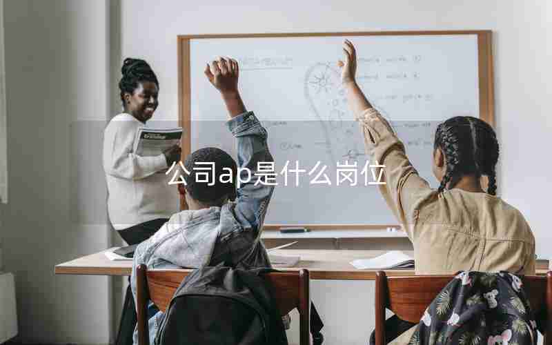 公司ap是什么岗位
