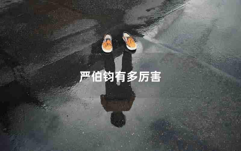 严伯钧有多厉害 严伯钧有多厉害