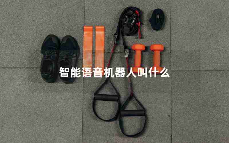 智能语音机器人叫什么 智能语音机器人叫什么