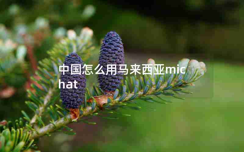 中国怎么用马来西亚michat 中国怎么用马来西亚michat
