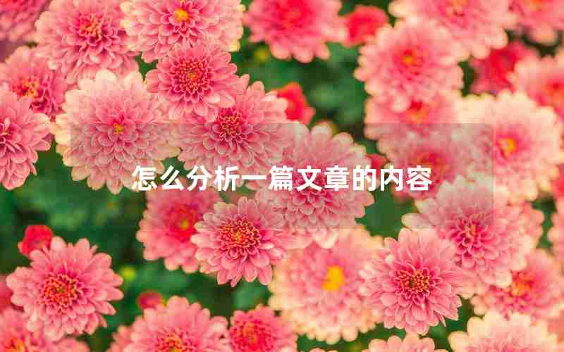 怎么分析一篇文章的内容 怎么分析一篇文章的内容